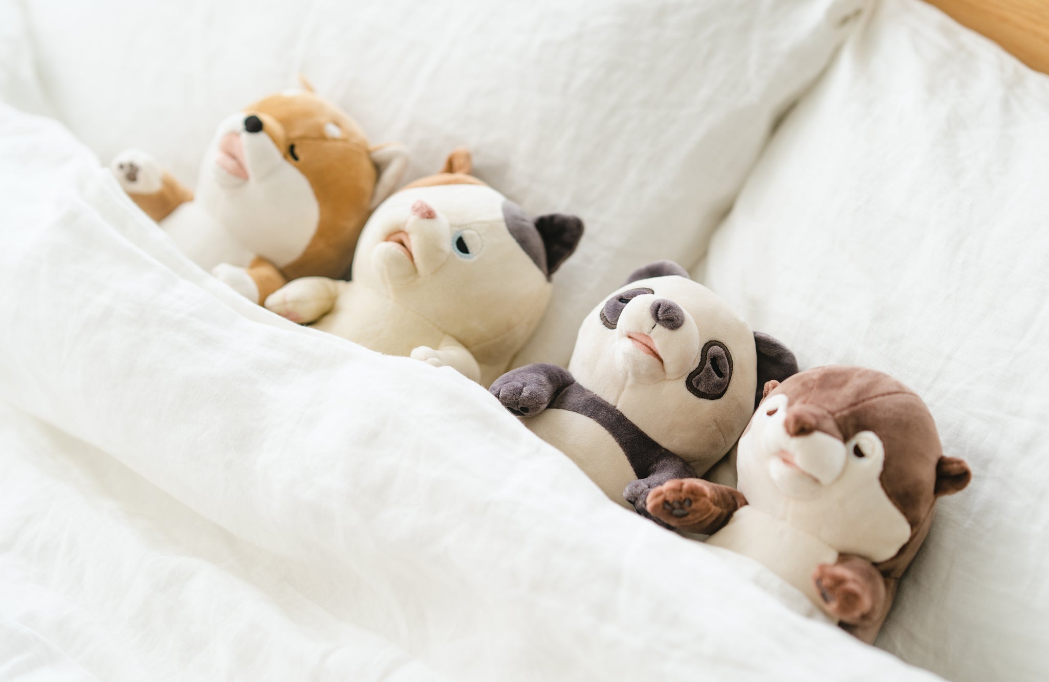 公式ストア】まるで赤ちゃんのような「甘噛みハムハム」やみつき
