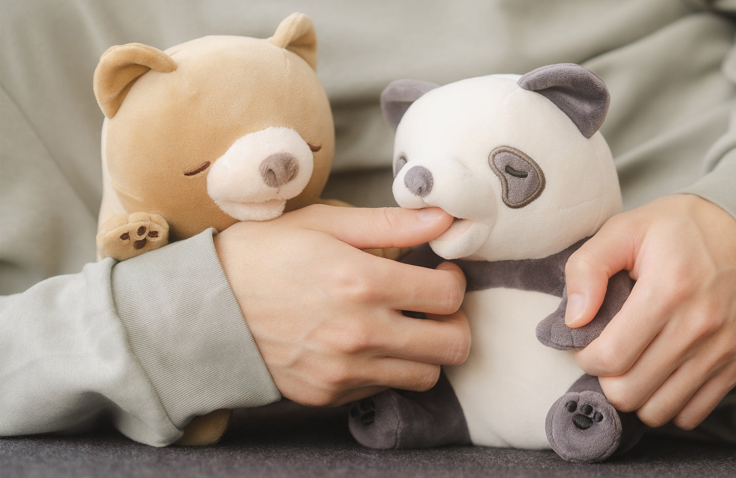 【里親募集】甘噛みハムハム