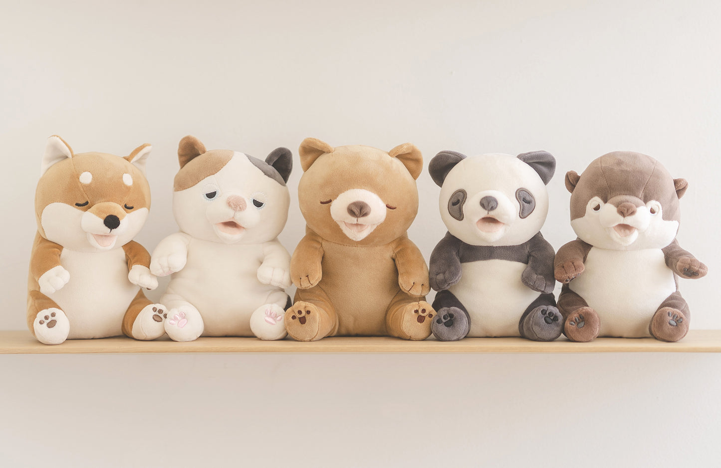 【里親募集】甘噛みハムハム