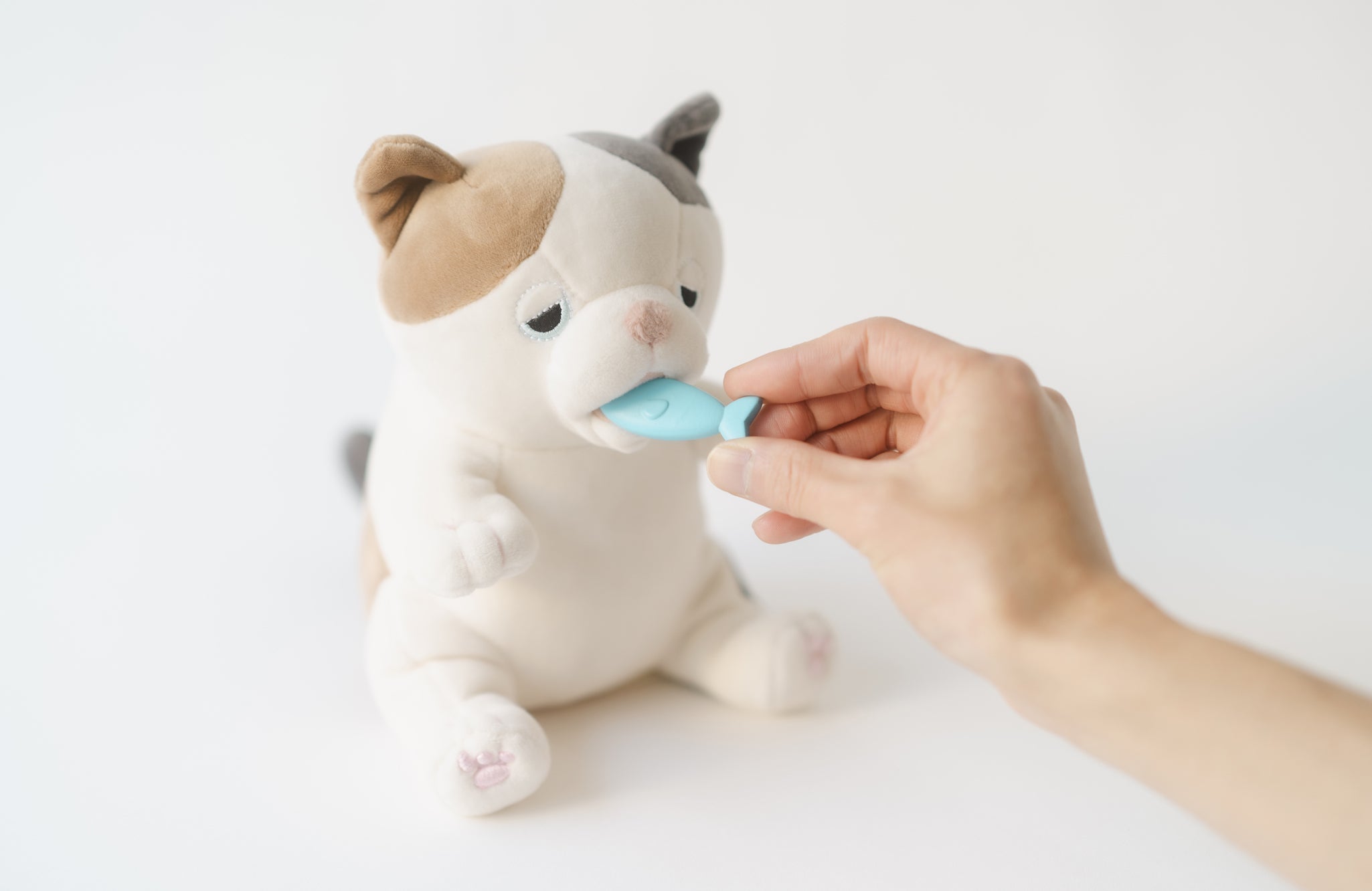 数量限定】甘噛みハムハム専用おやつ＆甘噛みハムハム「ゆず/ミケネコ