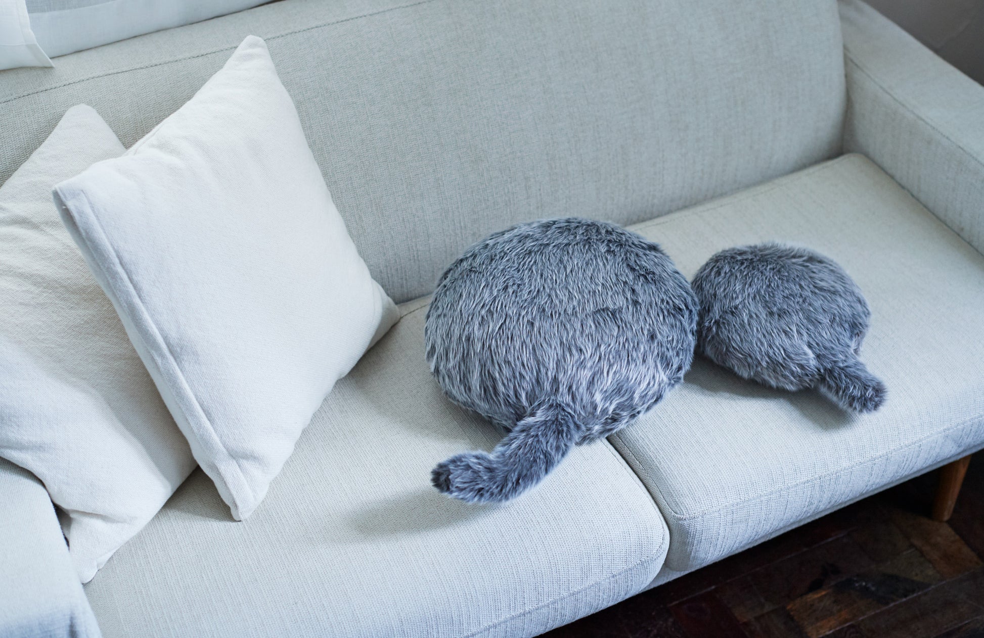 Qoobo（クーボ）とPetit Qoobo（プチ・クーボ）
